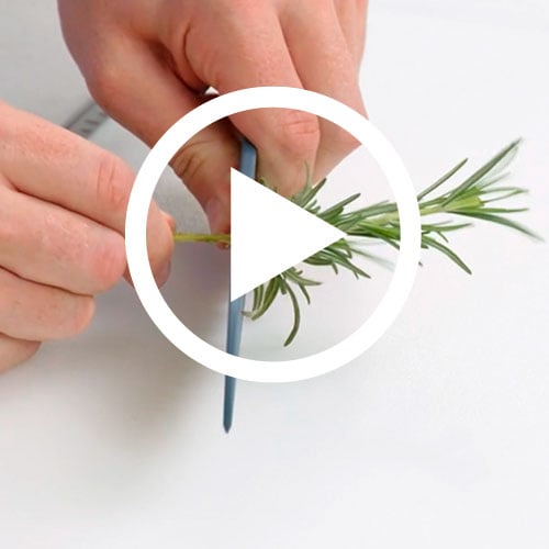 Play Serrated Nylon Knife Video