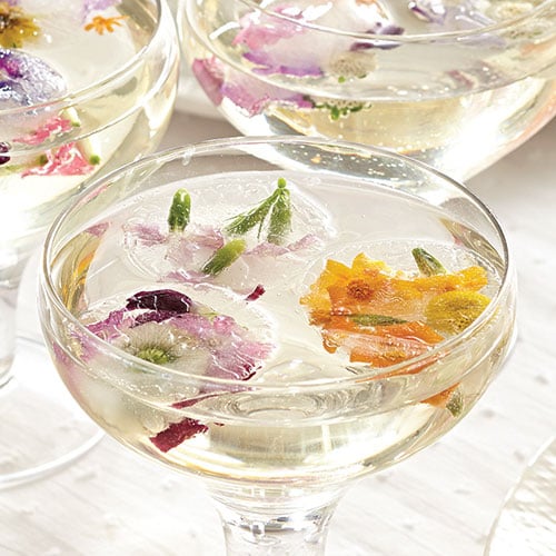 Flavored Ice Cubes