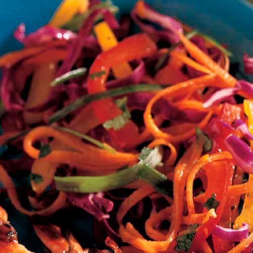 Calico Coleslaw