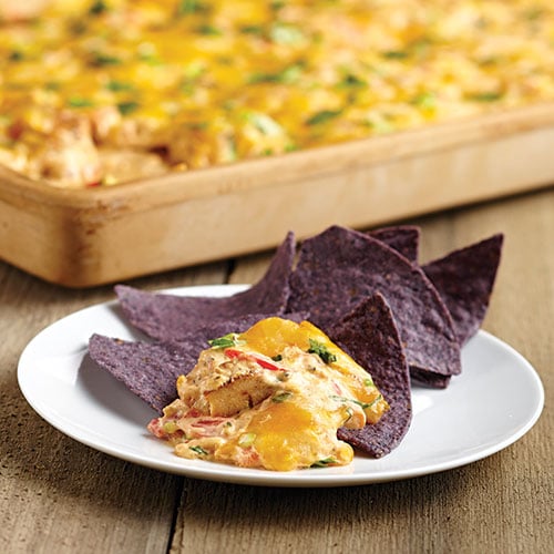 Cheesy Chicken Nacho Dip 