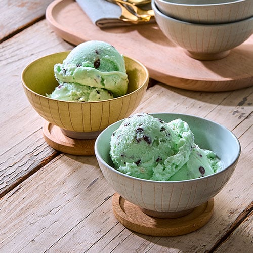 Homemade Mint-Chocolate Chip Ice Cream 