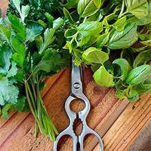 cut herbs